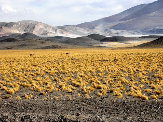 Voyagez à moto en Argentine avec Road Trip Factory et découvrez le Paso de San Fransisco