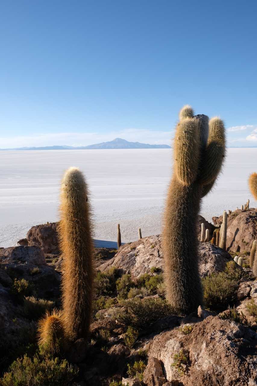 Découvrez le Salar d'Uyuni en participant au road trip Harley en Amérique du Sud Gran Fuga organisé par Road Trip Factory : Uruguay - Argentine - Bolivie - Chili