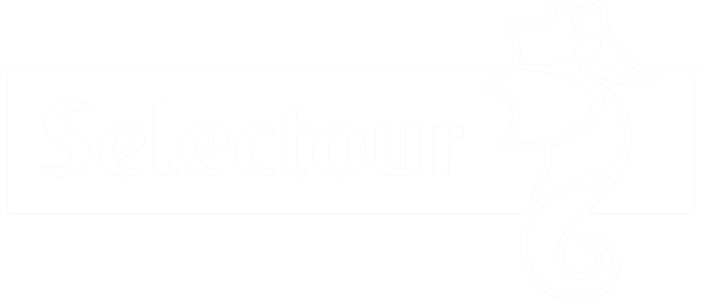 Logo Sélectour