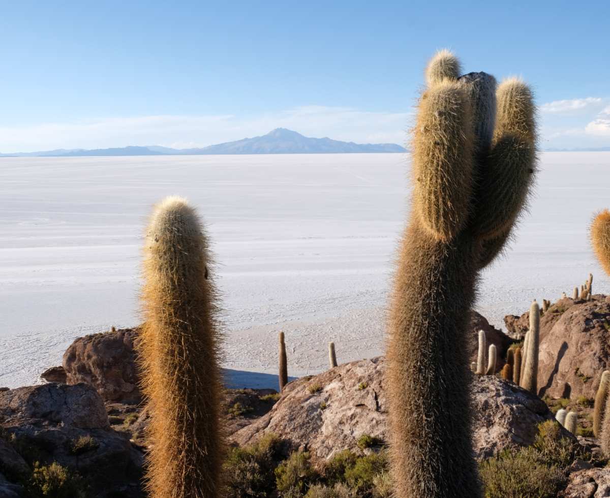 Découvrez le Salar d'Uyuni en participant au road trip Harley en Amérique du Sud Gran Fuga organisé par Road Trip Factory : Uruguay - Argentine - Bolivie - Chili