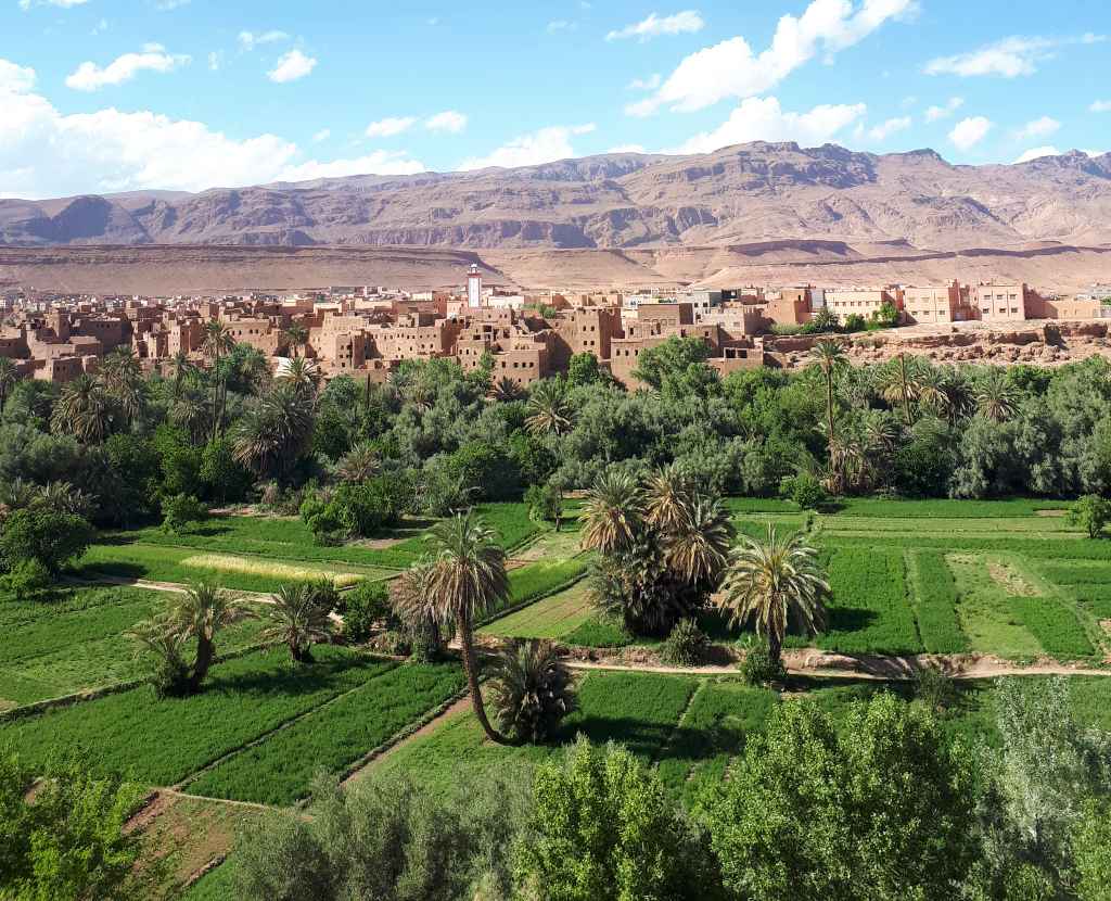 Les jardins de Tinghir au Maroc
