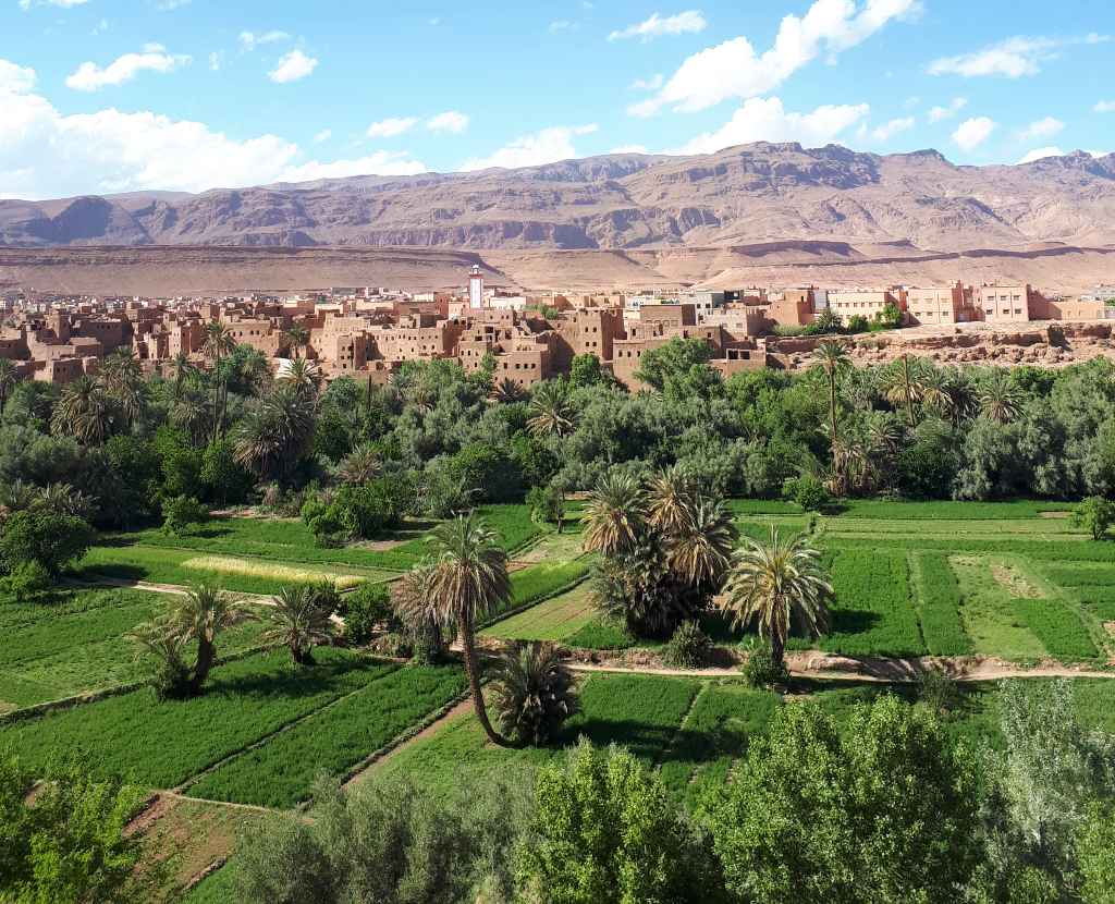 Les jardins de Tinghir au Maroc